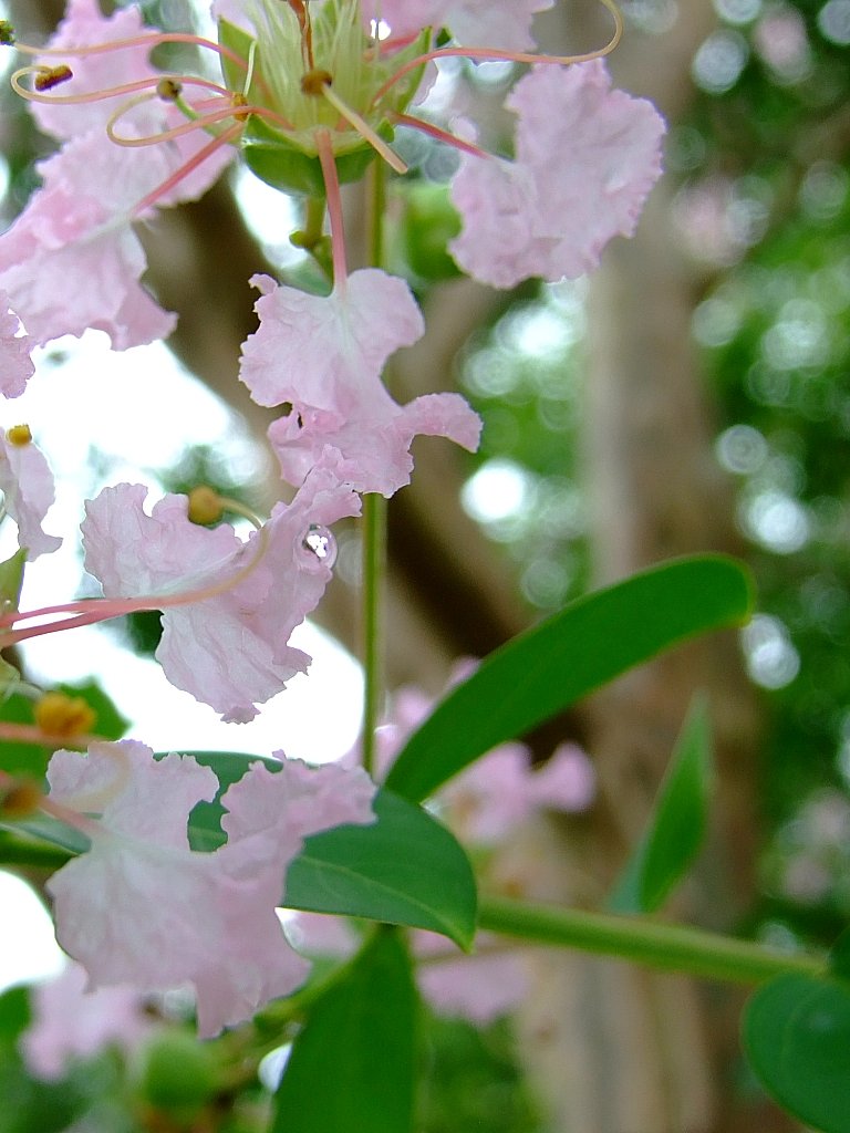雨上がりでした
