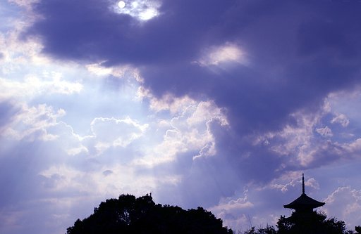 Shine