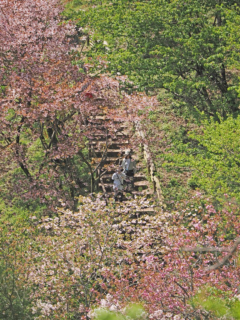 季節の沸点