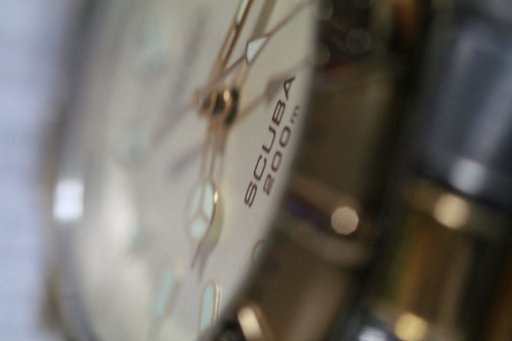 ながぁいお付き合い