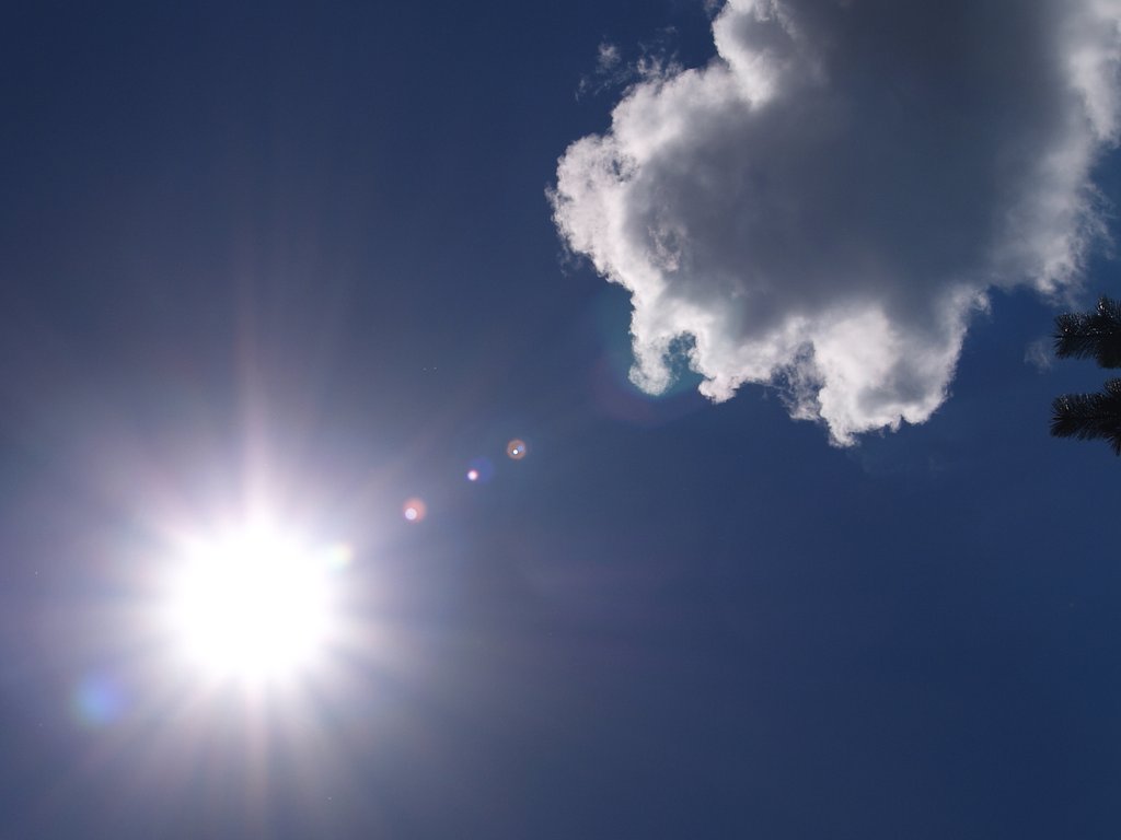 夏雲