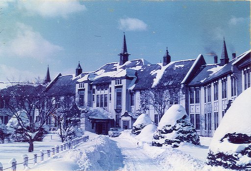 旧北海道大学工学部