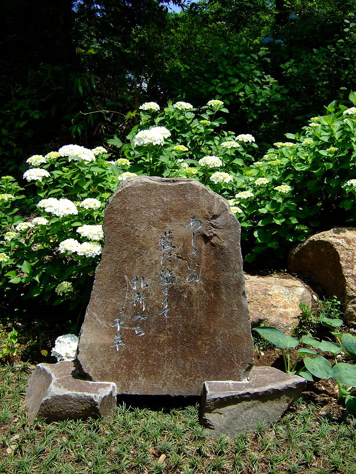 五七五・・・
