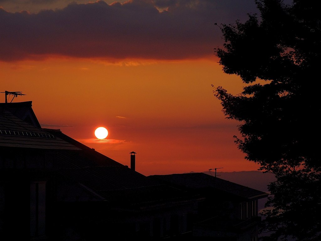 夕日