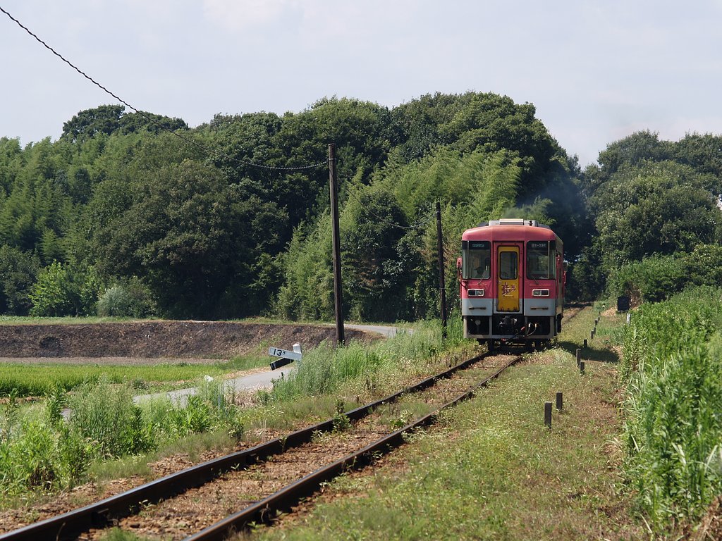 ある夏の日のワンマンディーゼルカー