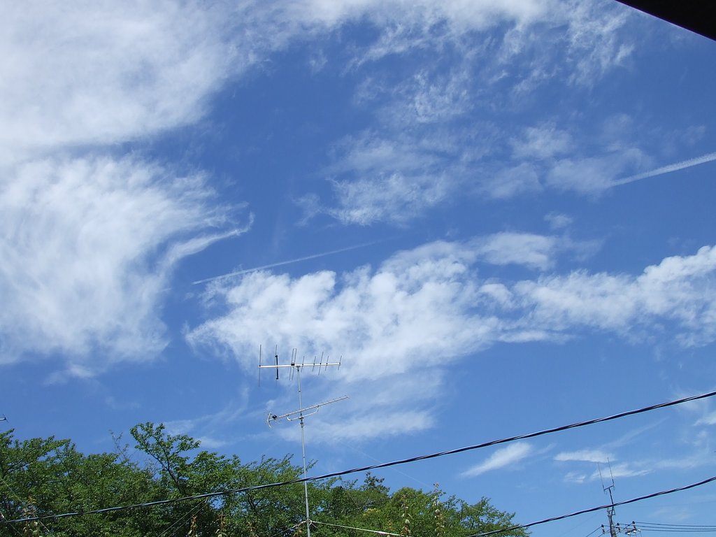 梅雨の晴れ間にしちゃ早いけど・・・・