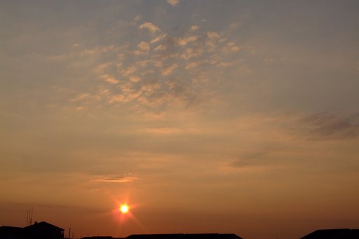真っ赤に燃えた太陽のハズが・・