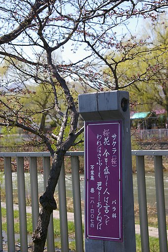 知らなかった、、、