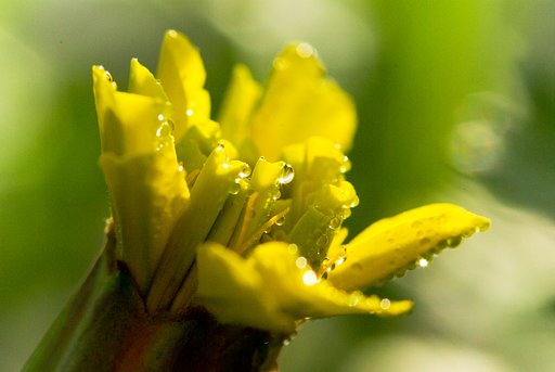 あかるくっ！