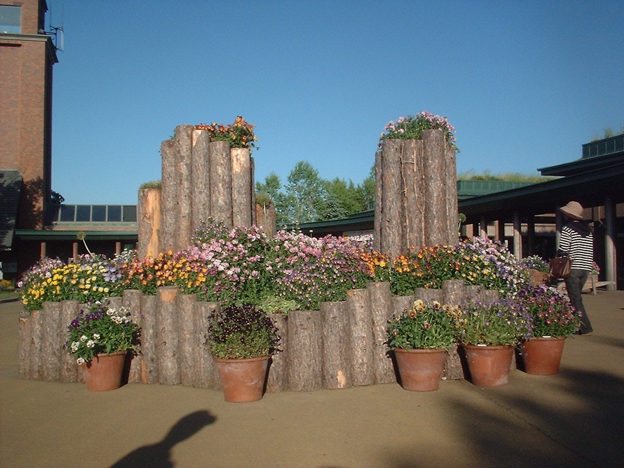 入り口の側に花