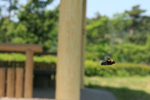 かなり難しい