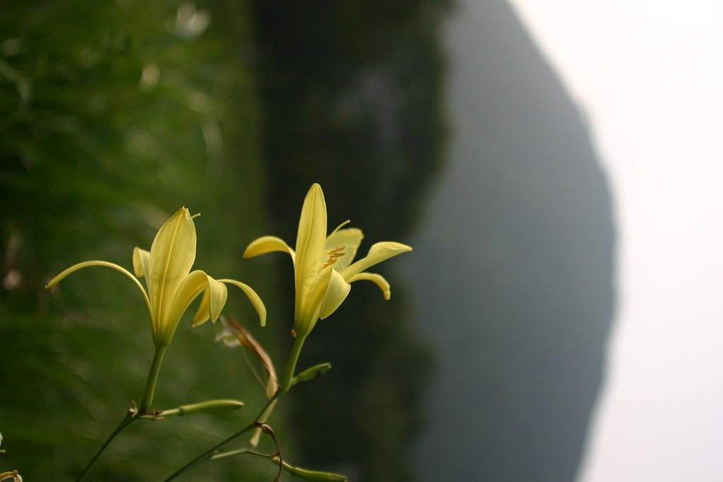 榛名湖