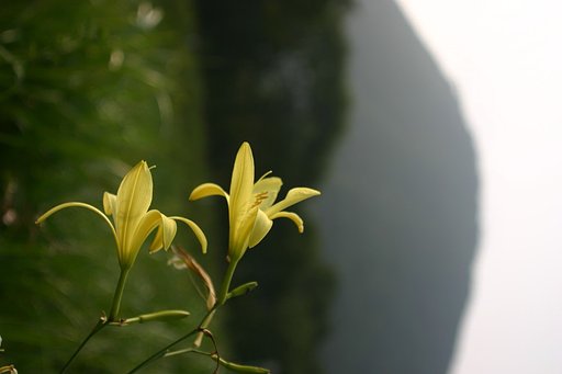 榛名湖