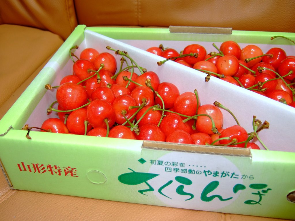 初夏の彩・・・