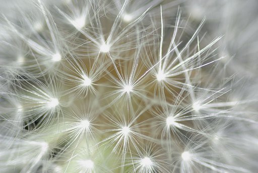 春の花火