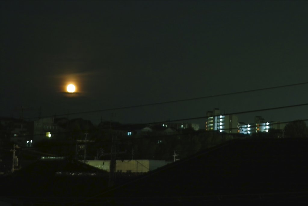 ブルームーン２００７