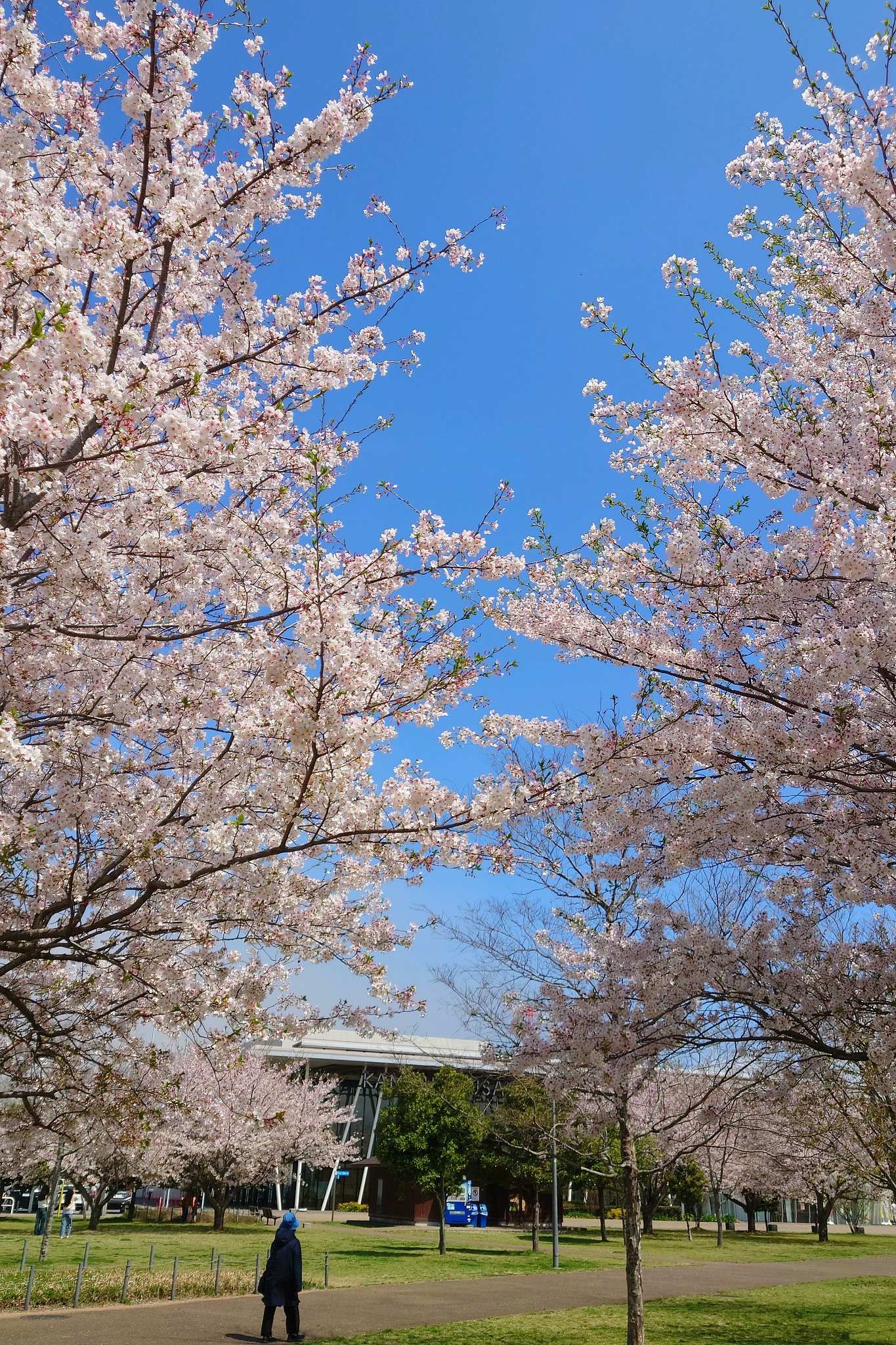 青空 ー その２