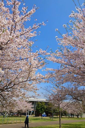 青空 ー その２