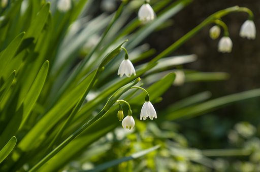 3月28日の写真