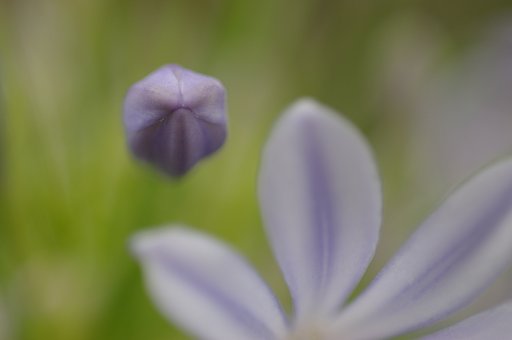 次はオレの番！