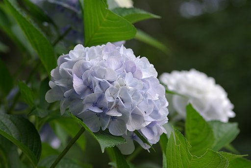 初投稿です