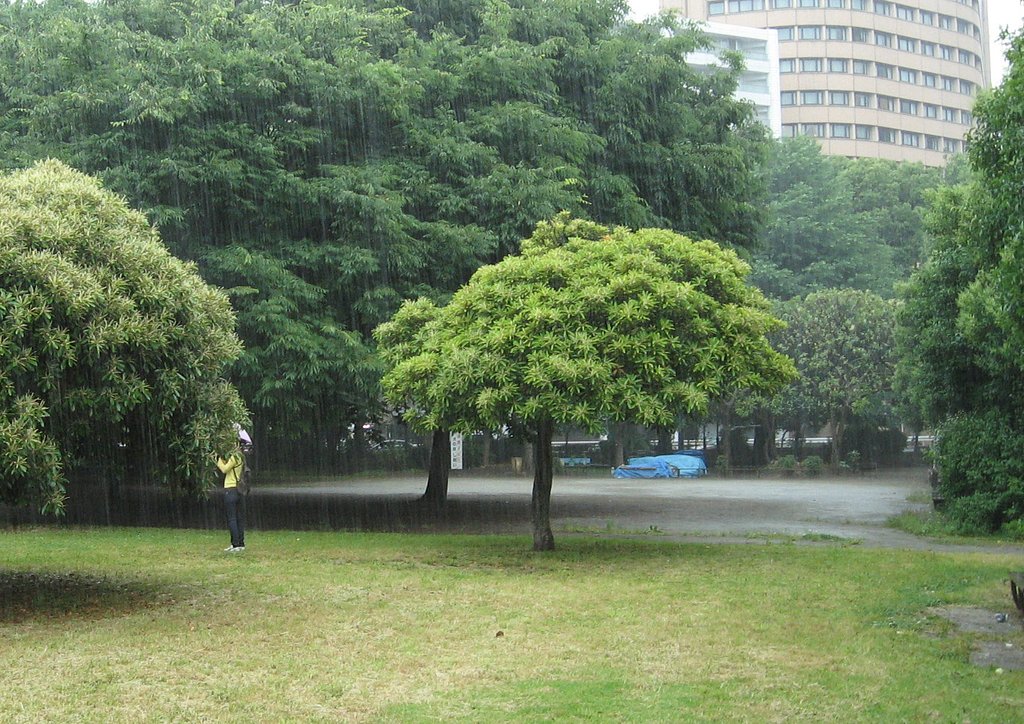 【旬】梅雨はまだ？
