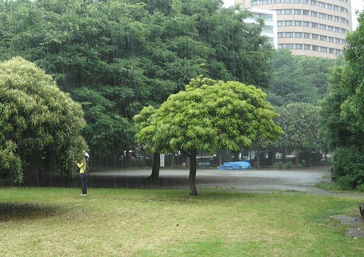 【旬】梅雨はまだ？