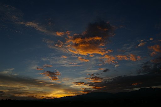 空をすいすい泳ぐ巨人たち
