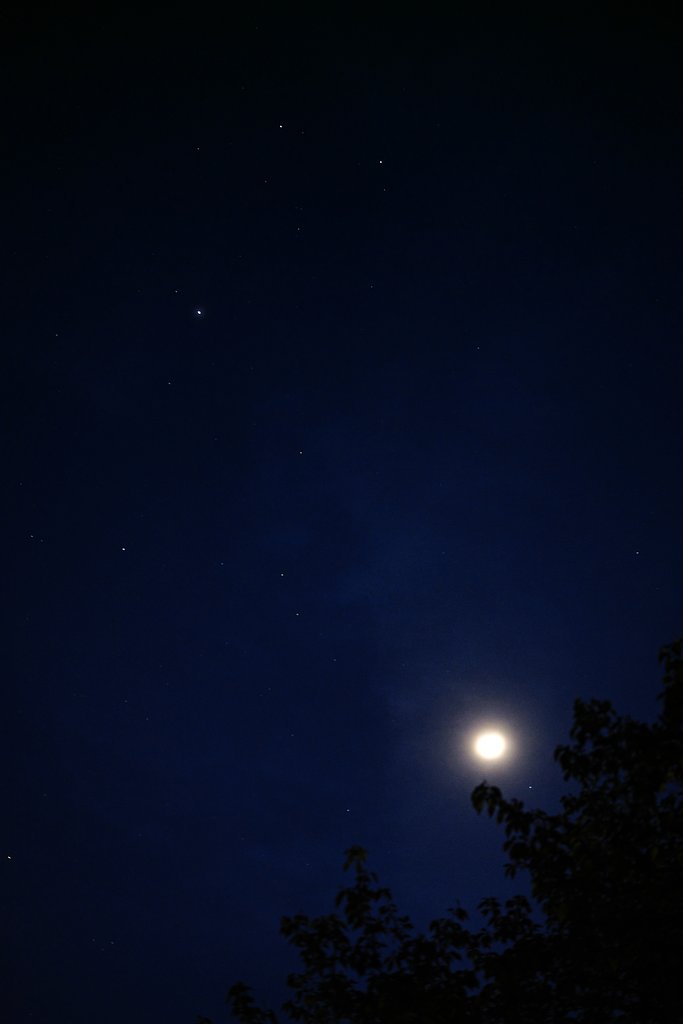 星活