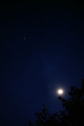 星活