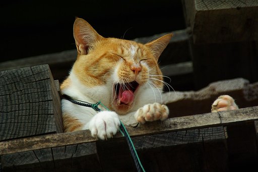ふわーっ