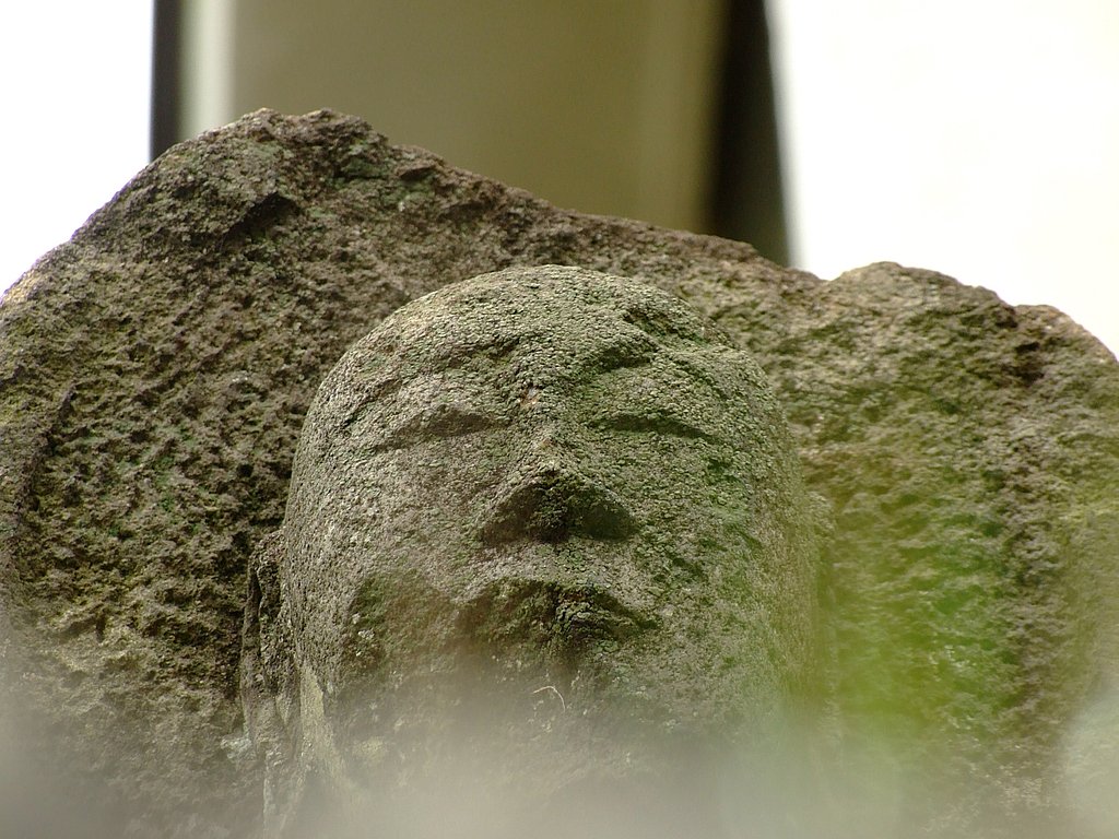 何を思う