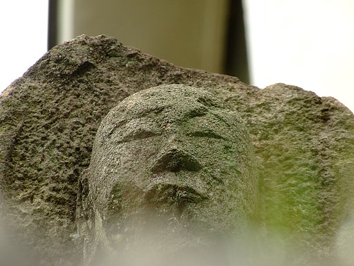 何を思う