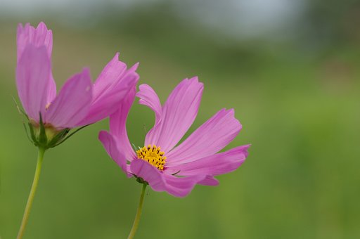 今日も暑かったね
