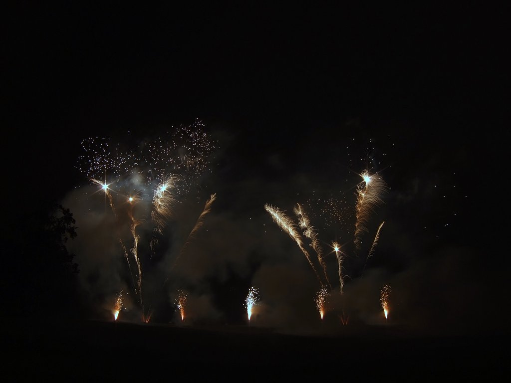 花火Ⅱ・・・