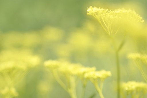 一足お先に♪