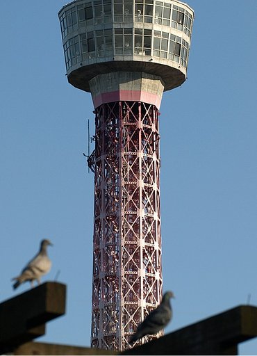横浜マリンタワー