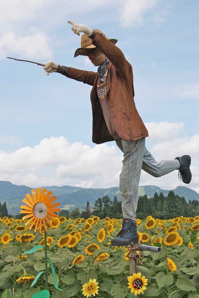 かかしコンテスト