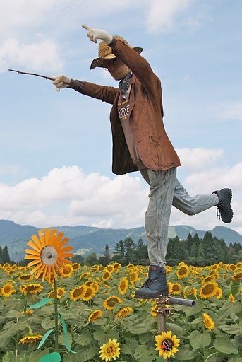 かかしコンテスト