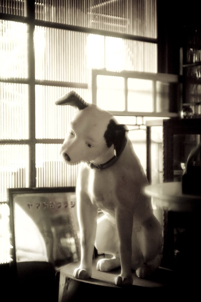 犬神家の一族