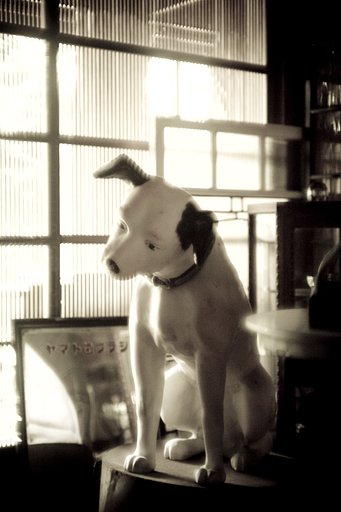 犬神家の一族
