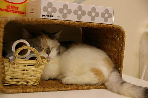 すっぽり