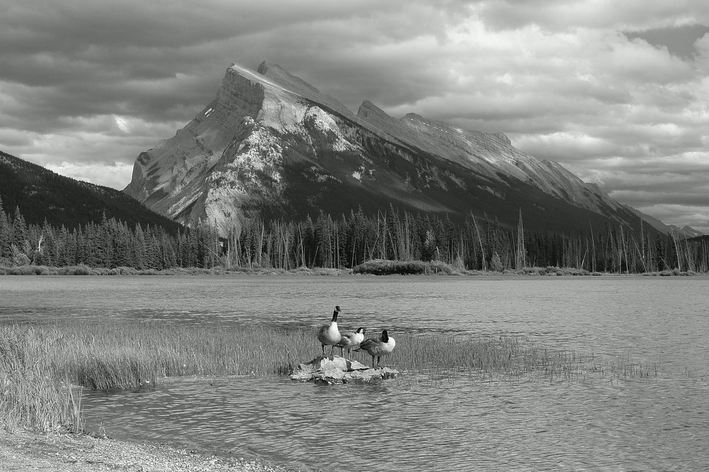 Banff