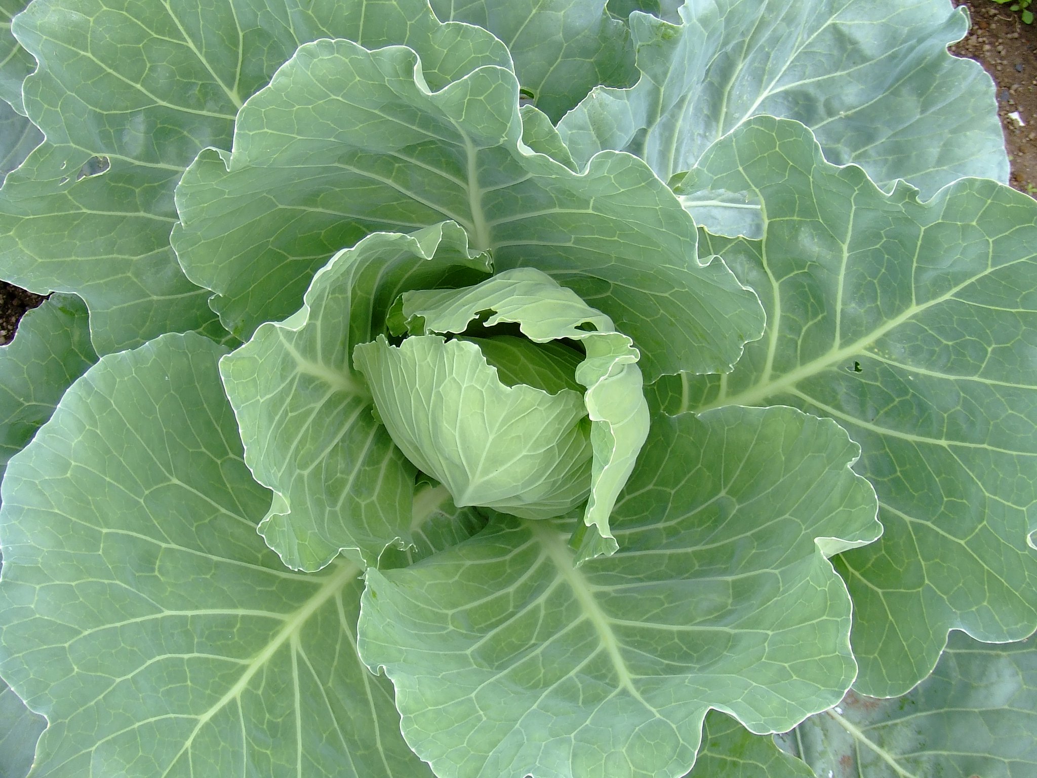 ご無沙汰しています・・・・