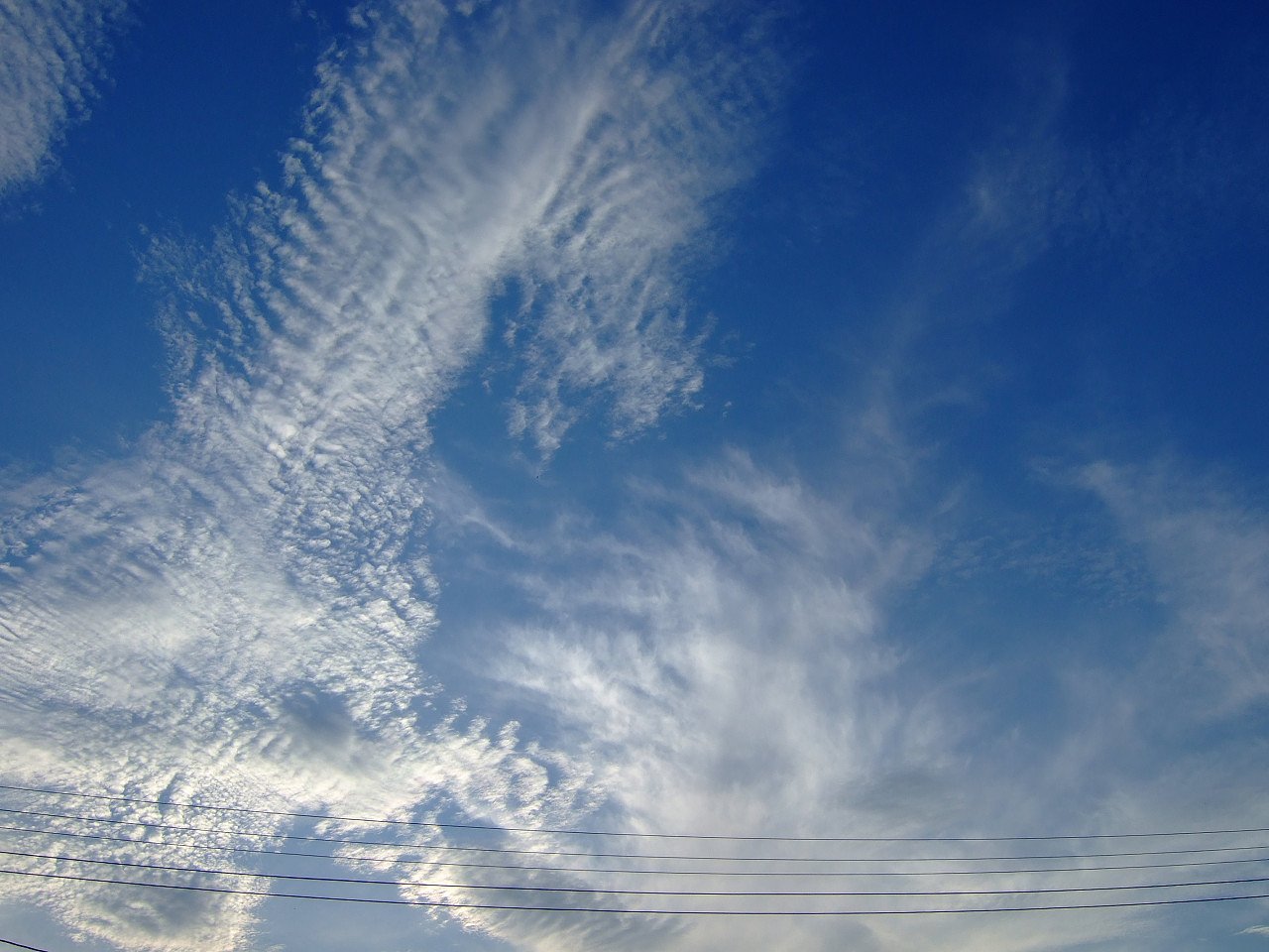 お梅雨明けの青空・・・