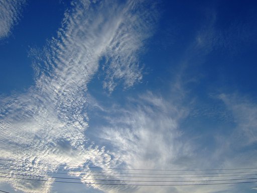 お梅雨明けの青空・・・