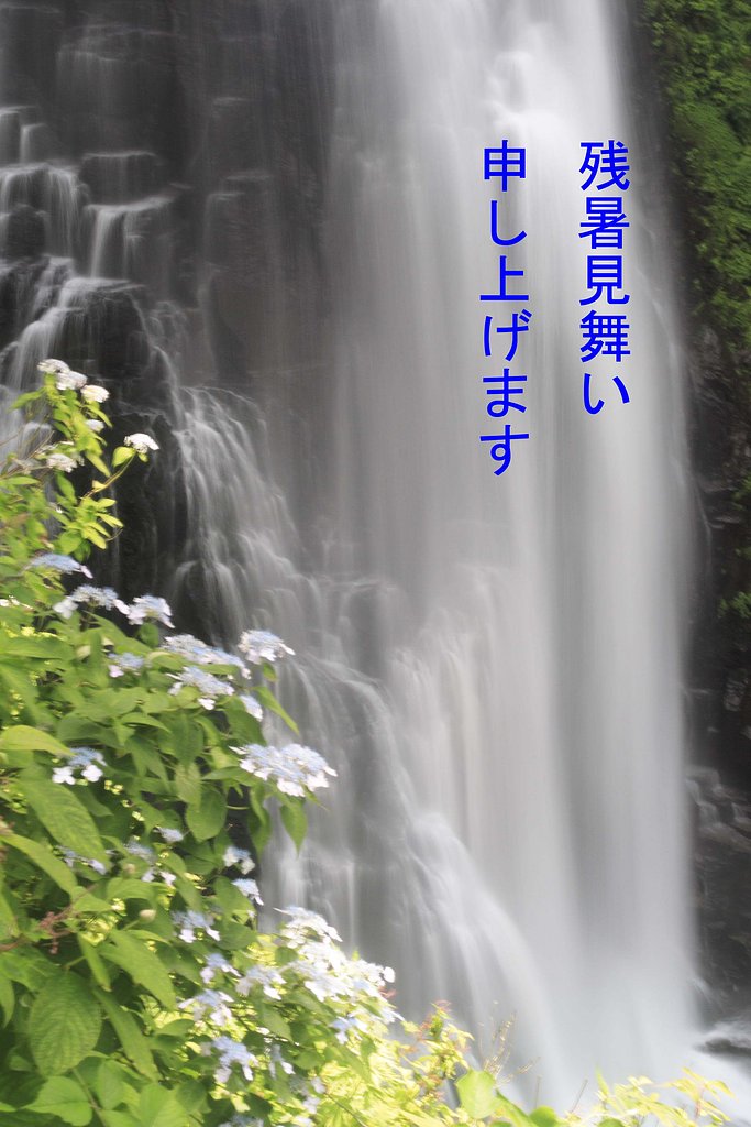 残暑見舞い