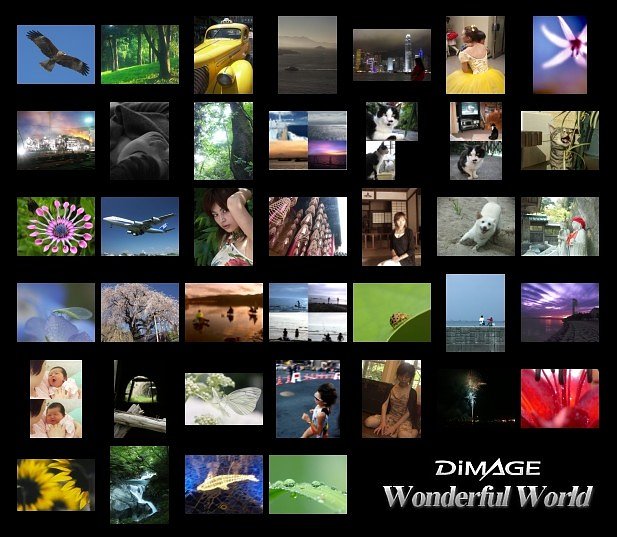 DiMAGE Wonderful World