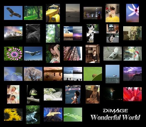 DiMAGE Wonderful World