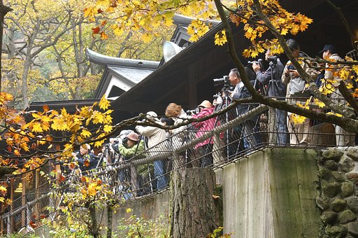 １０月のお題発表